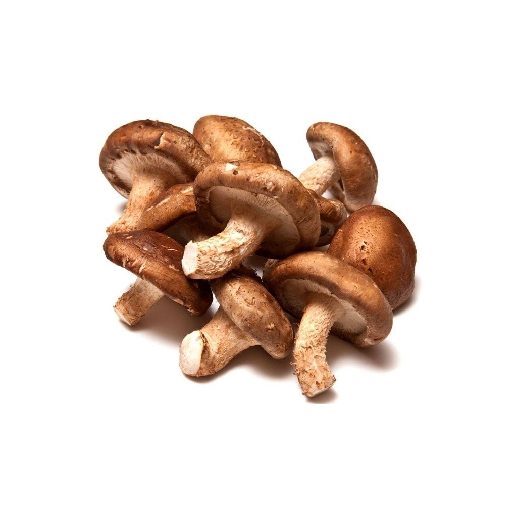 Cogumelo Shiitake bandeja 200 gramas - Mundo Mais Verde